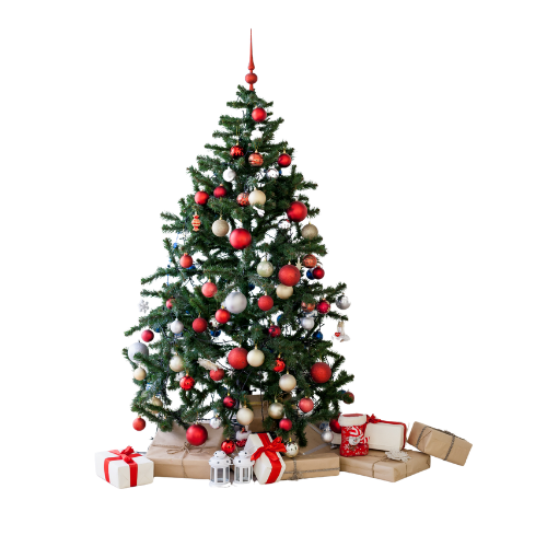 Your Wojo Christmas 2025